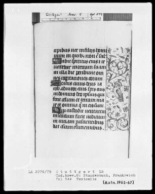 Lateinisch-französisches Stundenbuch — Bordüre mit Vogel, Folio 144 recto