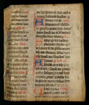 Explicatio Psalmorum