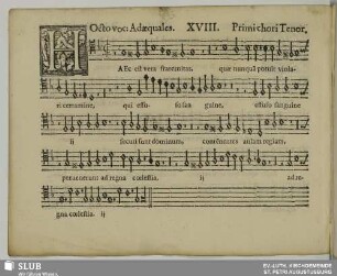 XVIII. Haec est vera fraternitas