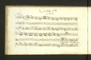 Cantata 5ta con V.V. Care fonti erbette e fiori