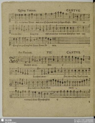 VII. Trachtet am ersten