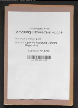 Verzeichnisse der bei den Standesämtern als gefallen gemeldeten Lipper