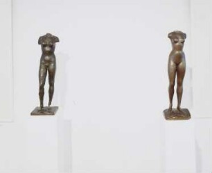 Weiblicher Torso