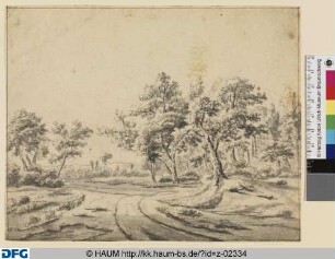 Geschwungener Fahrweg durch baumreiche Landschaft