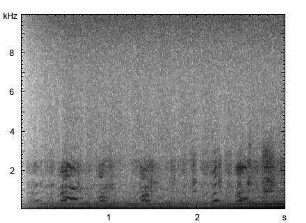 Haushund | Canis lupus f. familiaris - Hecheln, Bellen, Winseln