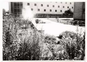 Grünflächen am Max-Planck-Gymnasium, Düsseldorf: Schulgebäude, Sitzmauer und Plattenweg