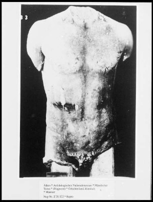 Männlicher Torso