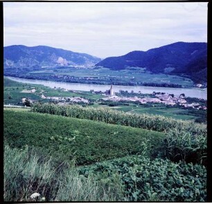 Weissenkirchen: Blick über die Weinberge auf Ort und Donau