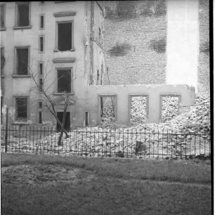 Negativ: Gelände, Siegfriedstraße 8, 1952