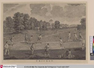 Cricket