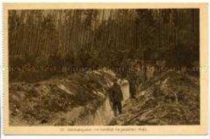 Schützengraben mit künstlich hergestelltem Wald