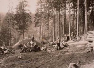 Steinbach, Kohlemeiler : Köhler und Meiler im Pressnitztal bei Steinbach im Erzgebirge