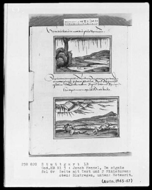 Jacobus Mennel, De signis portentis atque prodigiis — Zwei Miniaturen, Folio 6verso