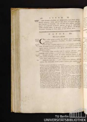 Caput III. De Cavis aedium. Capitolo III. De' Cortili.