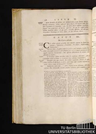 Caput III. De Cavis aedium. Capitolo III. De' Cortili.