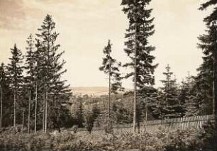 Pfaffroda. Ortsansicht mit Schloß. Blick aus dem Wald nach Nordost