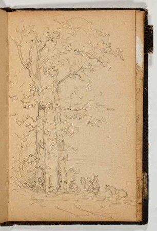 Wanderer und Pferde am Waldrand - Baumstudie