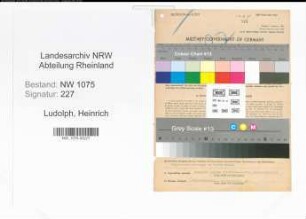 Entnazifizierung Heinrich Ludolph , geb. 06.03.1893 (Kaufmann)