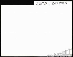 LILIUM/LILIEN: Sorten; Diverses