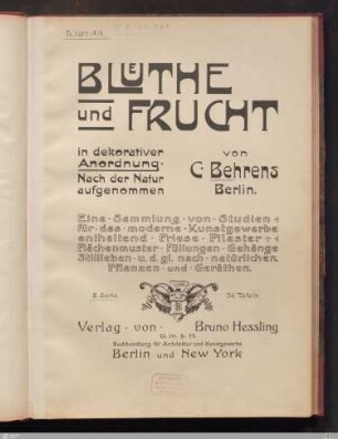 2: [Blüthe und Frucht in dekorativer Anordnung] Band 2