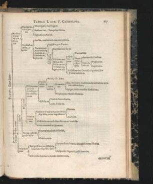 Tabula I. - Tabula XI.