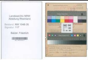 Entnazifizierung Friedrich Balzer , geb. 22.04.1903 (Redakteur)