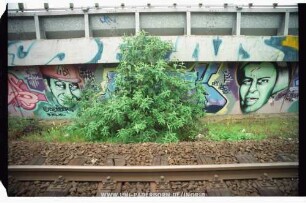 Saa GBF DBL {COPYRIGHT}BOMBER NYCRu FBi | {ZULU} | 141298 | THE REAL DEAL | DiE jUNGS VON DER GBF-BAUSTELLE...