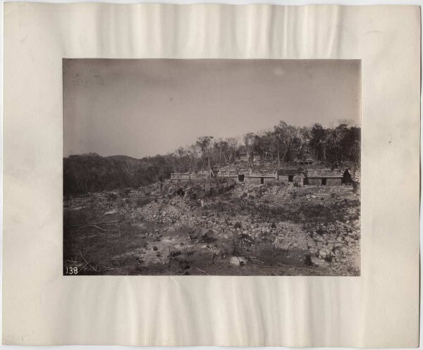 "Palace. West end. Panorama of a tree on a larger scale."