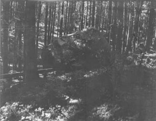 Findling im Wald : Ein Mann im Wald steht an einem Findling mit Inschrift. Neben dem Findling eine Bank