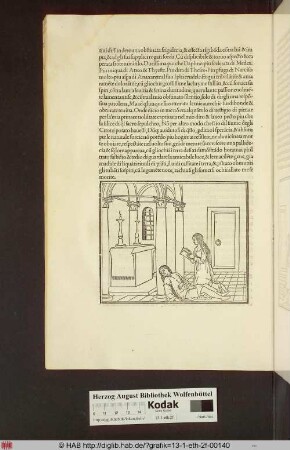 [Schlafender Poliphilo und lesende Nymphe vor einem Altar]