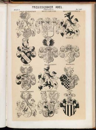 Taf. 496. Wolff- Lüdinghausen. - Wolff v. Schutter. - Wolff v. Todtenwarth. - Wolff I. - Wolff II. - Wolff III. - Wolff IV. - Wolffersdorff. - Wolffradt. - Wolfframsdorff. - Wolff v. Wolffsburg. - Wolicki