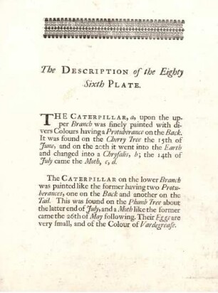 The Description of the Eighty Sixth Plate