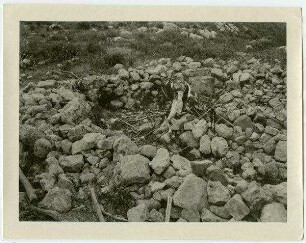 nebi sa'eb