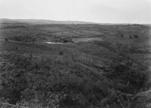 Landschaft bei Itapetininga : Blick auf hügeliges Grasland.