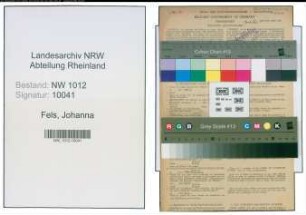 Entnazifizierung Johanna Fels , geb. 02.06.1894 (Buchhaendlerin)