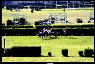 Meran (Südtirol, Italien): Galopp-Hindernis Rennen