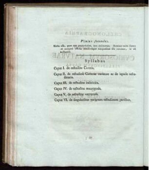 Plinius Secundus Syllabus