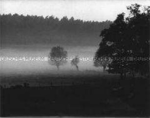 Landschaft im Nebel (Prämiertes Foto III)