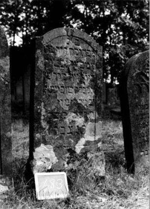 Grabstein 183 [Nir S. 135 Nr. 13.26]