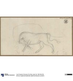 Ein Stier