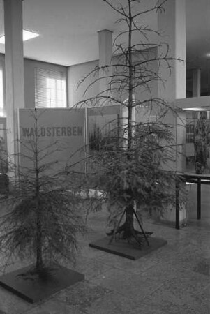 Ausstellung über das Waldsterben bei den Landessammlungen für Naturkunde/Museum am Friedrichsplatz