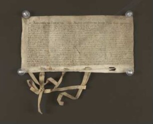 Regest Hoppe. 1566 Sept. 29. Betr. Türkensteuer. (Städte: Lippstadt, Blomberg, Salzuflen, Detmold)
