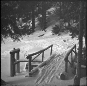 Beim Feldsee