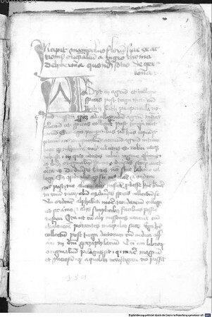 Thomae de Hibernia manipulus florum - BSB Clm 14543