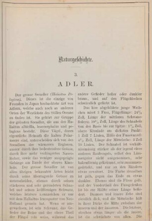 3. Adler