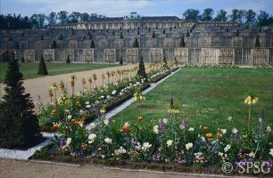 Potsdam, Park Sanssouci, Parterre Große Fontäne, Rabatte mit Blumenbepflanzung.
