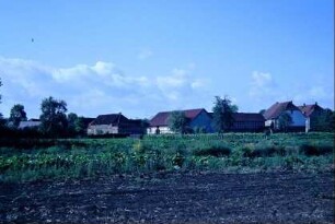 Blick zum Ort über kleine Felder; Bauernhöfe mit Wirtschaftsgebäuden, auf einem Dach ein Storchennest