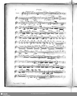 2. Flute.