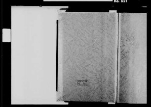 Bruchsal, katholische Gemeinde (St. Paul): Standesbuch 1810-1829