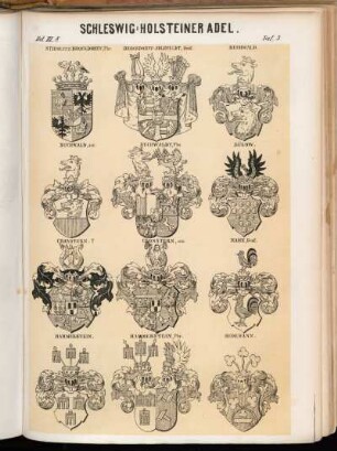 Taf. 3. Stieglitz-Brockdorff, Fhr. - Brockdorff-Ahlefeldt, Graf. - Buchwald. - Buchwald, and. - Buchwaldt Fhr. - Bülow. - Cronstern †. - Cronstern, and. - Hahn, Graf. - Hammerstein. - Hammerstein, Fhr. - Hedemann